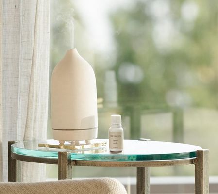 2021 Best Seller 100ml Ultrasonic Stone Ceramic Aroma Diffuser with Timing Function