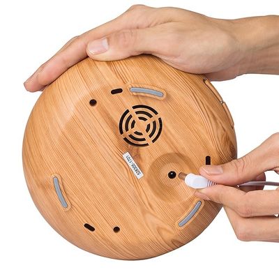 Essential Art Design Dimming Car Aroma Diffuser with 24V Voltage and Capacity ＞200ml